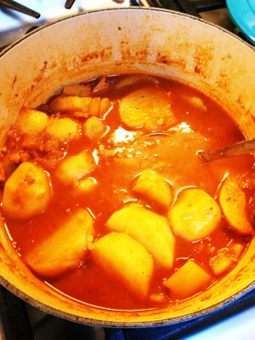 じゃがいもだけのインドカレー☆アルカレー